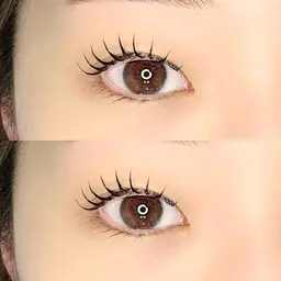 🎀SNSで話題のマスカラパーマorパリジェンヌ【ブラックティントマスカラパーマ🤍】