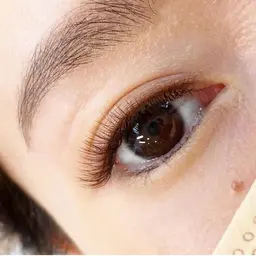 LEDボリュームラッシュ🌸×フラットラッシュのMIX(40束×40本保証)