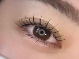 【新規限定】フラットラッシュ上下エクステ120本/40本