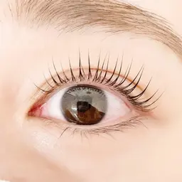 【人気No.1】パリジェンヌラッシュリフト(新規5500円、再来6600円)