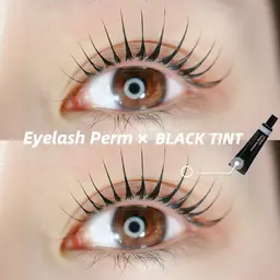 大人気🎀韓国で話題🌟マスカラパーマ(ティント)【似合わせまつげパーマ】¥6,700