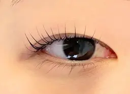 [上まつげパーマ]　パリジェンヌラッシュリフト(CT/TR付)