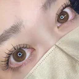 🪽フラットラッシュ100本【お付け足し不可⚠️オフ有は別途¥550】