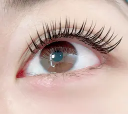 フラットラッシュ60本