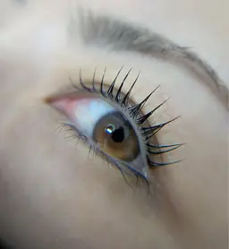 1月🉐エグータム美容液付き🎀上のみパリジェンヌ&ラッシュリフト🎀アイシャンプー、ケラチン補給コーティング仕上げ