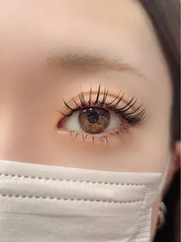 バインドロック80束