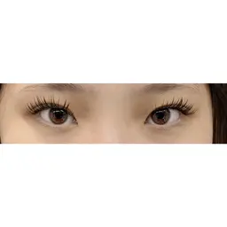 パリエク（80〜100本）