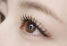 【モニター様限定】フラットラッシュ付け放題(MAX120本)