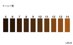 ヘアカラー（明るさの希望が8トーン以下の方のみ）