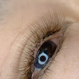 【オフあり】ボリュームラッシュ120束まで🌳¥8100