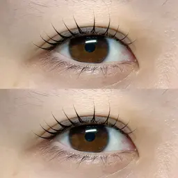 🎄12月限定🎄パリジェンヌorラッシュリフト 再来¥5990