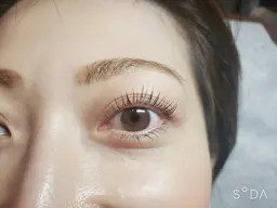 ラッシュリフトパーマ(韓国風🇰🇷束感仕上げ)(下まつげパーマ追加可🙆‍♀️詳細お読みください)