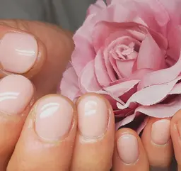 ワンカラー　オフなし