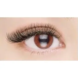 オフ込み 🧸 ボリュームラッシュ 80束