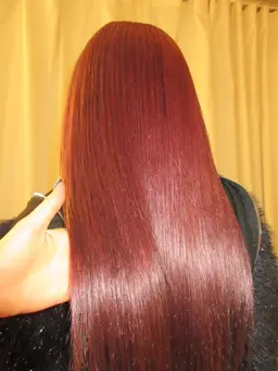 本日(7日)限定価格‼️ワンカラー