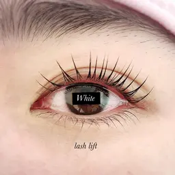 🩵 ご新規様限定 🩵 次世代まつ毛カール 上のみ 💎 ¥4000(コーティング付)全メニューオフ込料金♩