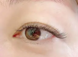 フラットラッシュ1D～3DMIX 100本(オフの本数により時間前後します)