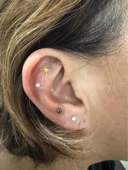 耳ツボジュエリー１０粒