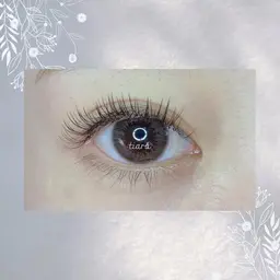 LED 最軽量フラットラッシュ160本