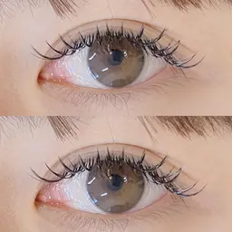 【新規様】シングルラッシュつけ放題コース