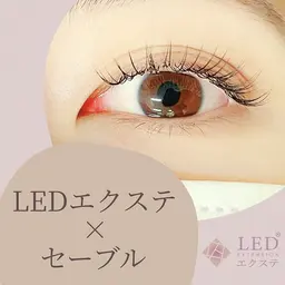 セーブル　LED 140本