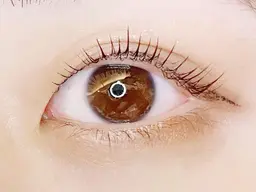 🕊2回目以降の方🌷パリジェンヌラッシュリフト　まつ毛を根元から立ち上げる事で自まつ毛の長さを最大限に引き出せます