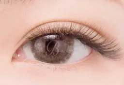 ⭐️ボリュームラッシュ (80束)⭐️10/16 11:00​〜​⭐️