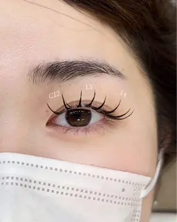 【80本】フラットラッシュ💘ナチュラルデザイン♡̷