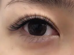 LEDエクステボリュームラッシュ480本(オフあり別途500円 )💐デザイン自由🙆‍♀️