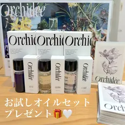 7月のご予約限定❕ワンカラー+お試しヘアオイルセットプレゼント🎀🎁