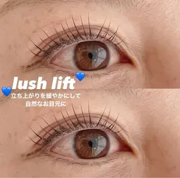 【12月限定】¥8,500▶︎￥7,000ラッシュリフト【上下】