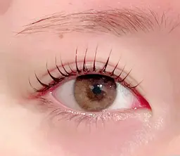 🌸似合わせまつげパーマ🌸　(ケラチンTR＋束感コーティング付き💫)