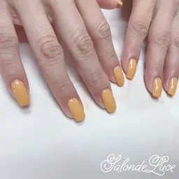 【オフ無しの新規様限定】グラデーション or ワンカラーのみのシンプルネイル.カラー,ラメのみ.ホログラムは＋¥1000