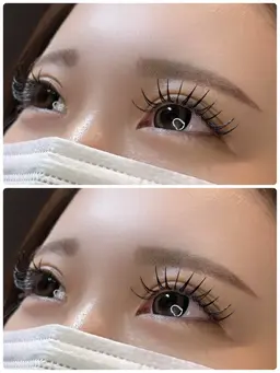 【10月25日限定🫧】🌷フラットラッシュ120本🌷