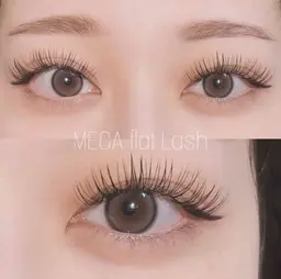 🪩メガフラットラッシュ80束(160本)🪩   ⚠️ご予約前に必ず補足説明をお読みください！！