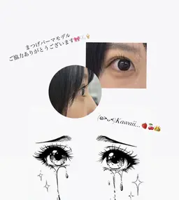 ♡無料モデル♡まつげパーマ上下90分⚠️11/17恵比寿店での施術になります。⚠️