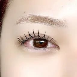 【期間限定価格⭐️オフ無料】ダブルフラットラッシュ80束🌷