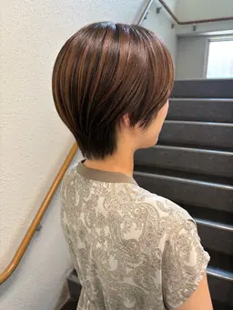 カット（ショート）※レディースのみ