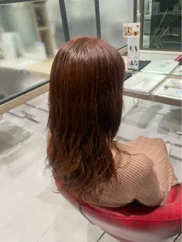 ワンカラーのみ