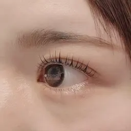 ☺︎︎︎︎☺︎ オープン価格 ☺︎︎☺︎ パリジェンヌラッシュリフト¥4620