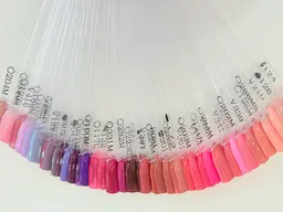 ワンカラー(オフあり)