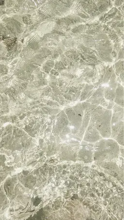 Head SPA ／ 20min. + s&b