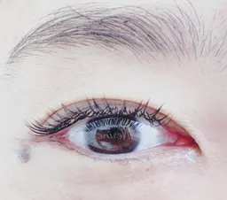 ダブルフラットラッシュ60束　付け足し可能