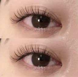 11/18マツエク100本オフなし🎀🤍(10:00/16:15ご来店):無料モデル