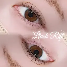 【ミニモ限定】眉毛wax‼️