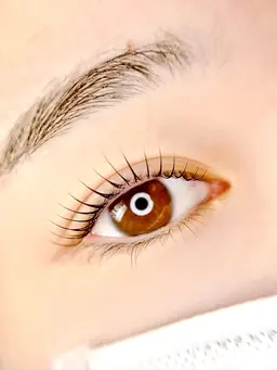 【12/8限定☃️】まつげパーマ(ラッシュリフト)🫧美容液コーティング、アイシャンプー付き🌙