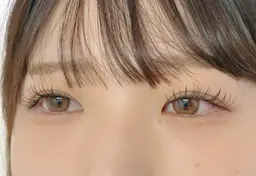 フラットラッシュ60本🌼