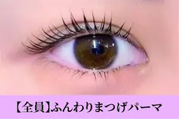 💎まつ毛パーマorラッシュリフト（コーティング付✨）💎