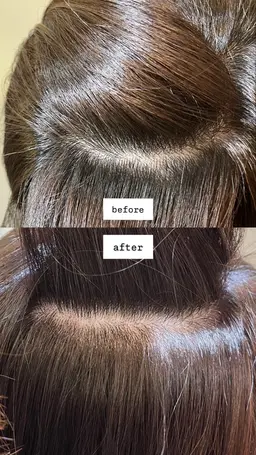 【オーガニック】ヴィラロドラカラー🌿