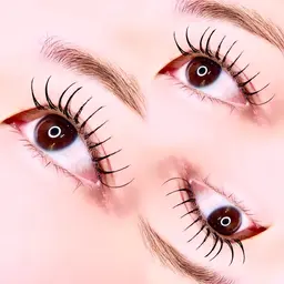 【8月・9月限定】フラットラッシュ┊ 100本🌛‧˚